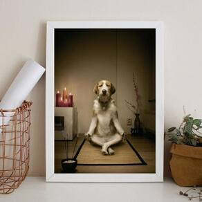 Quadro Decorativo Cachorro Meditando 33X24Cm - Com Vidro