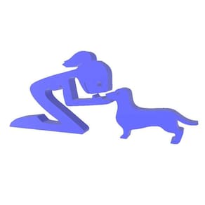 Menina E Salsicha Cachorro Pet Decoração 3D