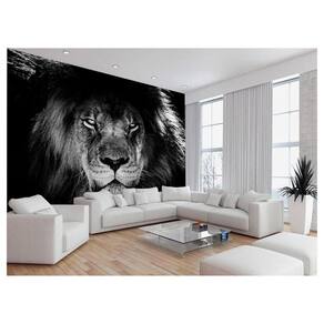 Papel De Parede 3D Animais Leão Rosto Encarando 3,5M Anm497