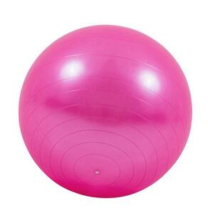Bola Suiça Pilates Yoga 65cm Com bomba de Encher