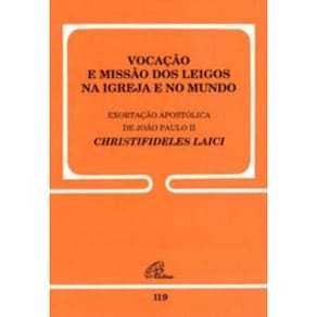 Vocação e Missão Dos Leigos Na Igreja e No Mundo - 119 - Christifidelis Laici