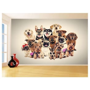 Papel De Parede 3D Animais Cão Gato Petshop 3,5M Anm416