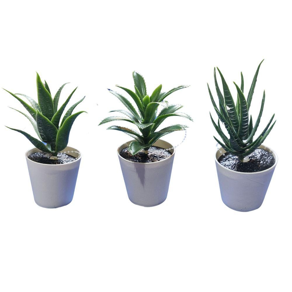 Kit 3 Suculentas Artificiais C/ Mini Vaso Plástico Decoração