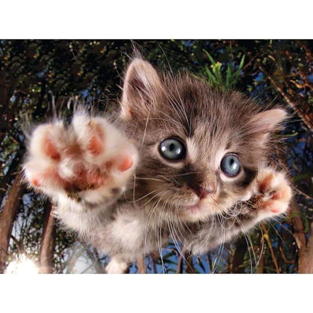 Quebra Cabeca - Prime 3D Puzzle - Modelo Gato com 500 Pecas MULTIKIDS