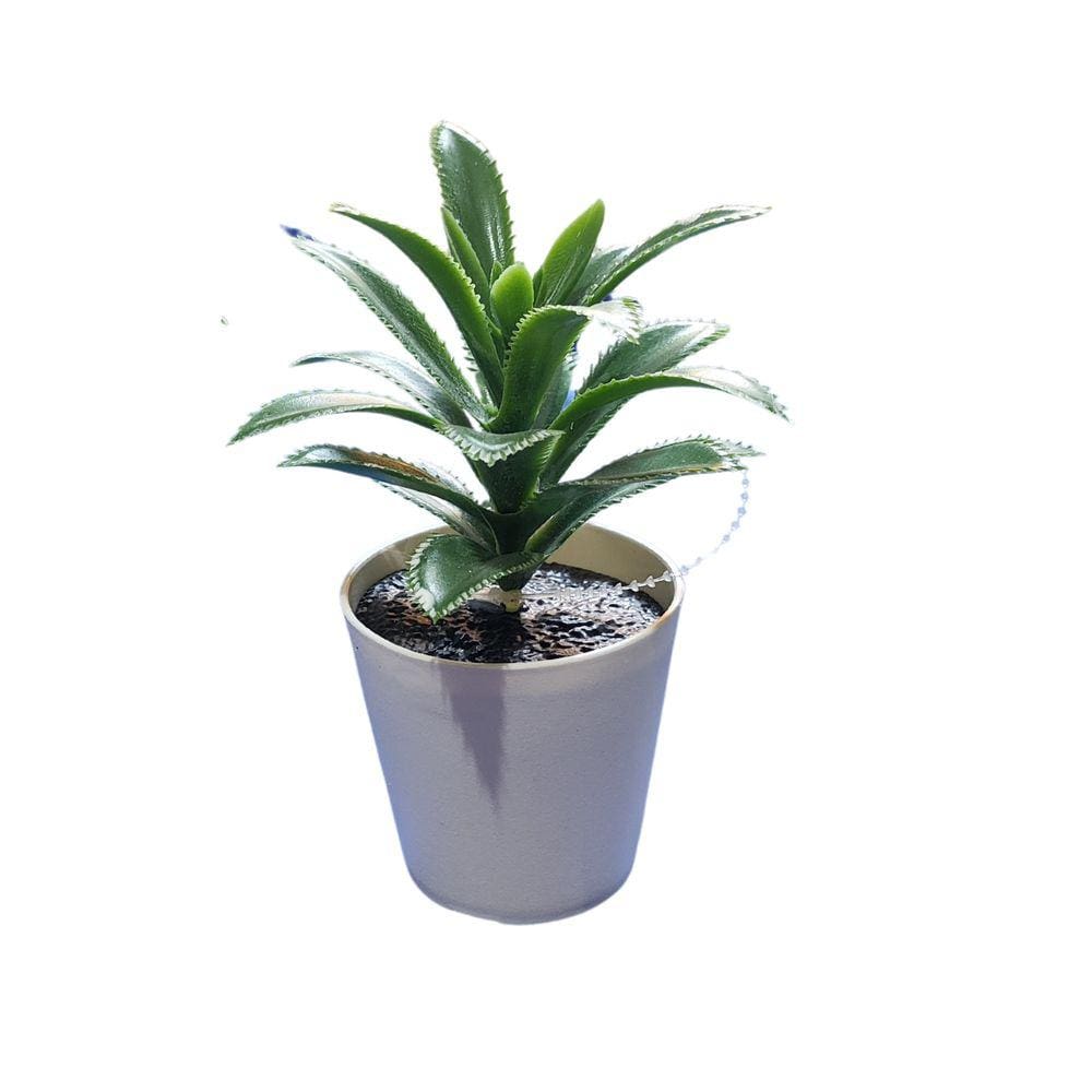 Suculenta Artificial C/ Mini Vaso Plástico Decoração Arranjo