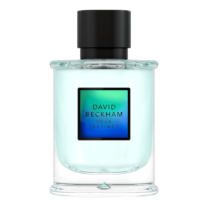 David Beckham True Instinct Eau de Parfum - Perfume Masculino 75ml