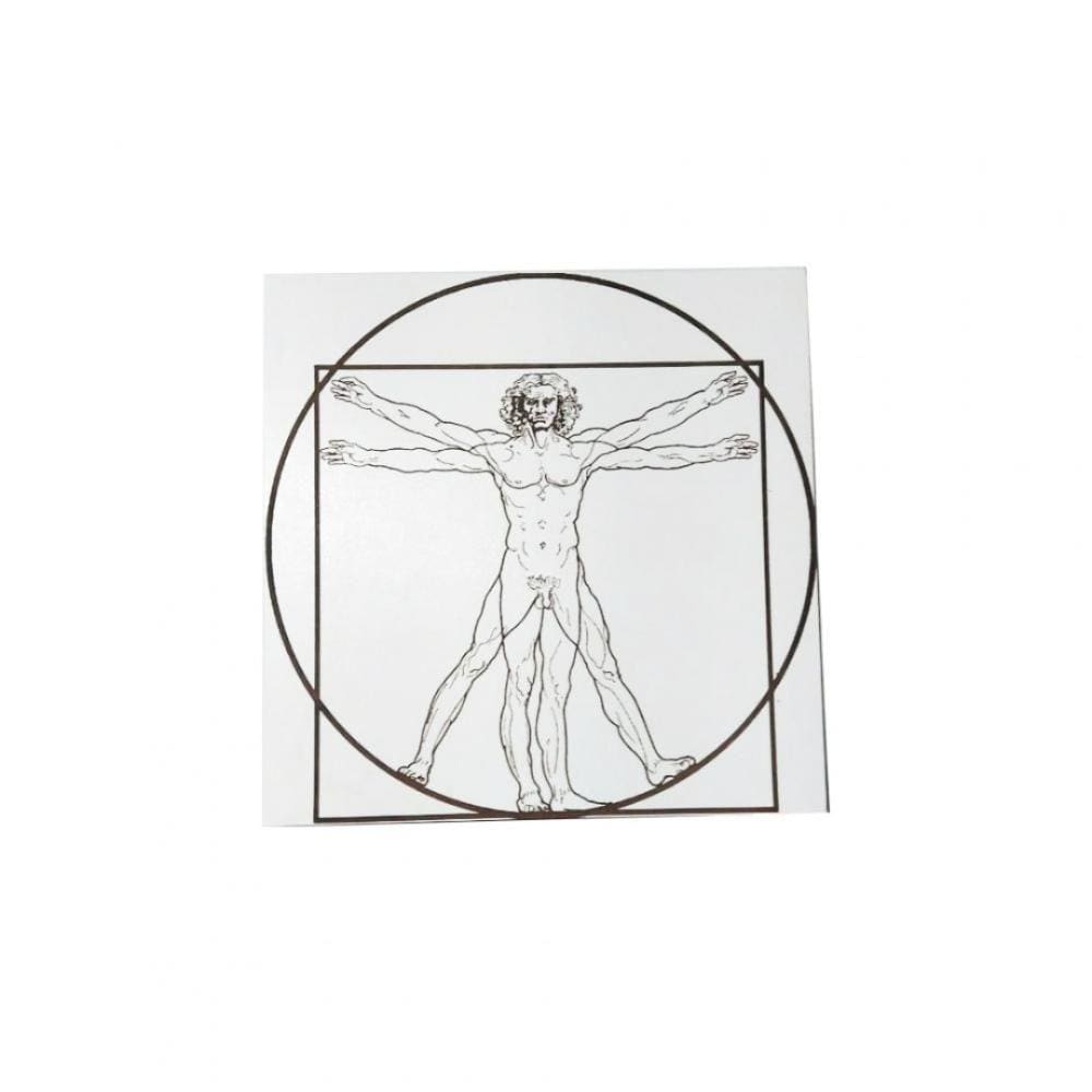Quadro Decorativo Homem Vitruviano Em Mdf Branco [F031]