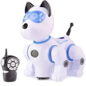 Cachorro Controle Remoto Robo Inteligente Infantil Canta