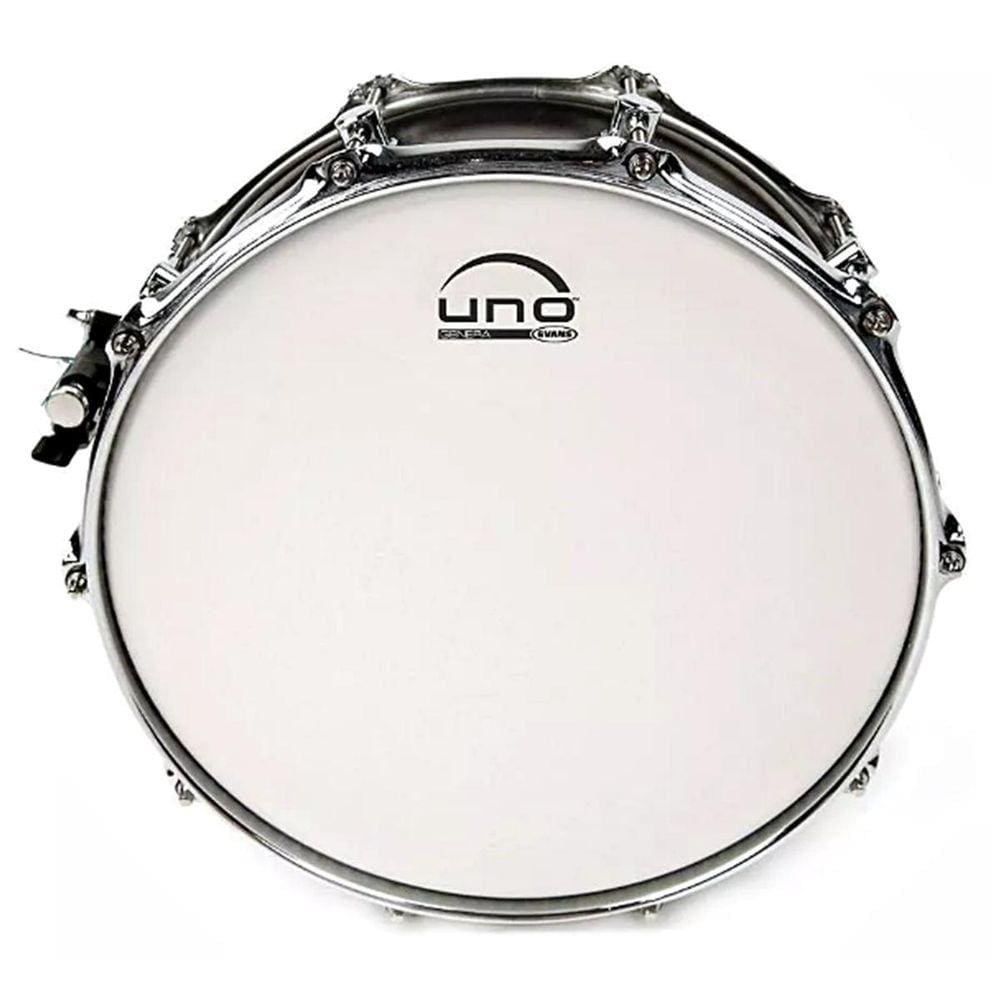 Pele Profissional Caixa Bateria Uno By Evans Genera Porosa
