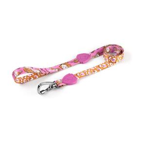 Freefaro Guia Tradicional 1,2M Savage - M