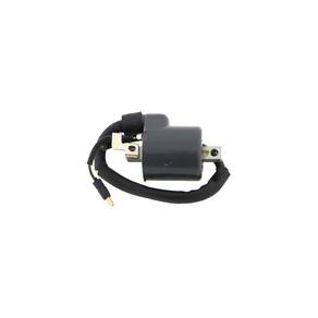 Bobina Ignicao Condor 12v Cg 150 [F016]