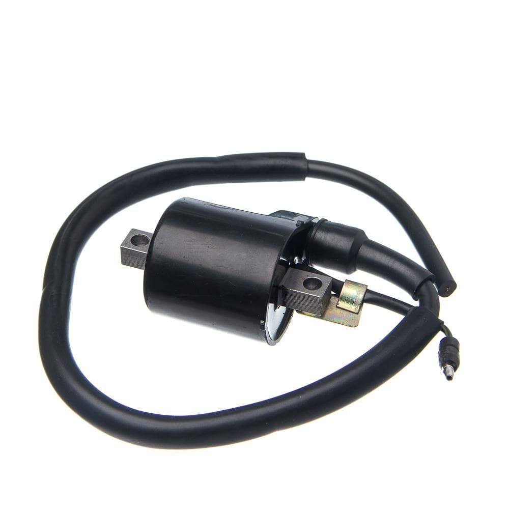 Bobina Ignicao Condor 12v Biz 125 05 A 08 [F016]