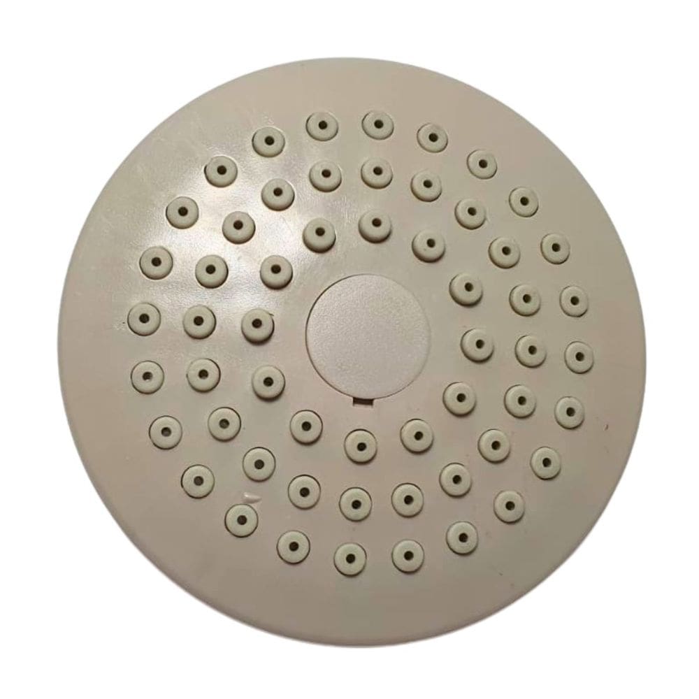 Crivo do Chuveiro Spot Deca 1973CR - 4630006