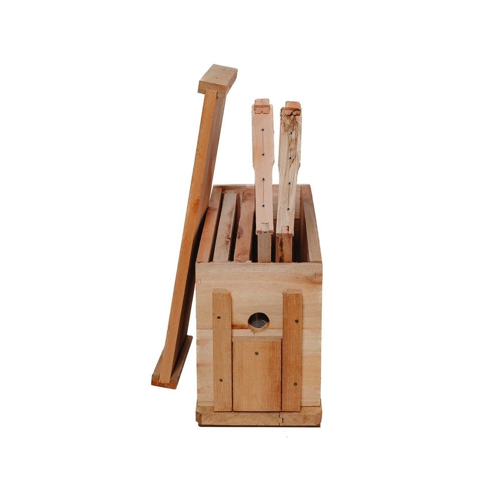 Núcleo - Padrão Langstroth - 4 Quadros Com Arame
