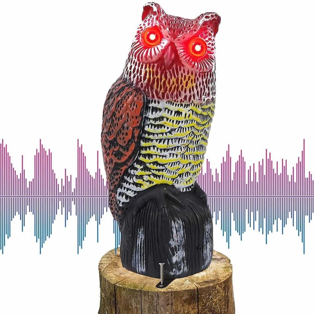 Coruja espantalho repelente sonoro pombo pássaros pragas top