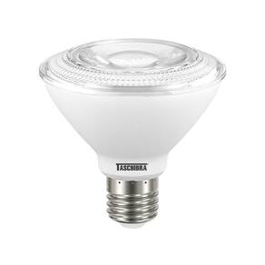 Lâmpada Led Par 30 9,9w E27 Ip65 Taschibra Bivolt 6500k Luz Fria