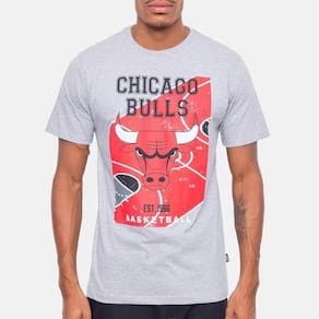 Camiseta Nba Masculina Chicago Bulls Backcourt