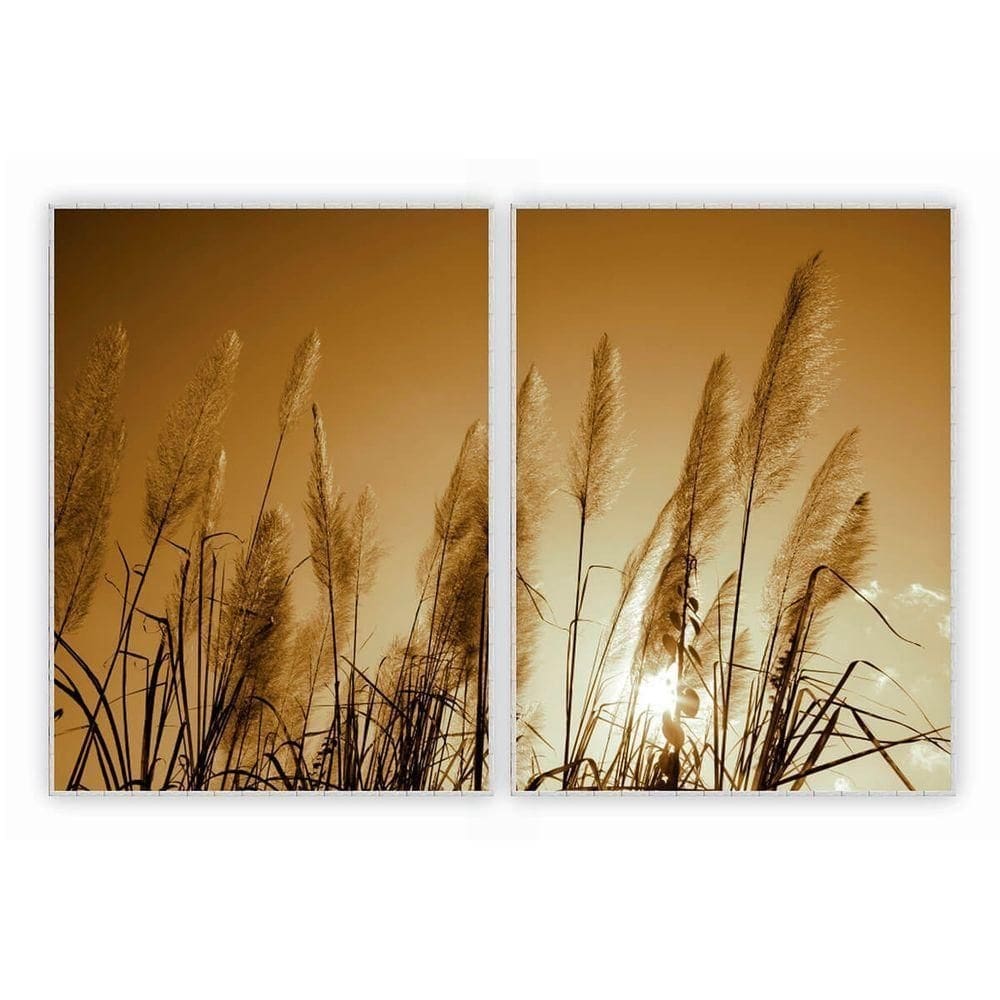 Kit Com 2 Quadros Decorativos Florais Com Moldura Para Sala Quarto Escritório 62x822 Floral 023