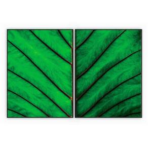 Kit Com 2 Quadros Decorativos Florais Com Moldura Para Sala Quarto Escritório 62x823 Floral 017