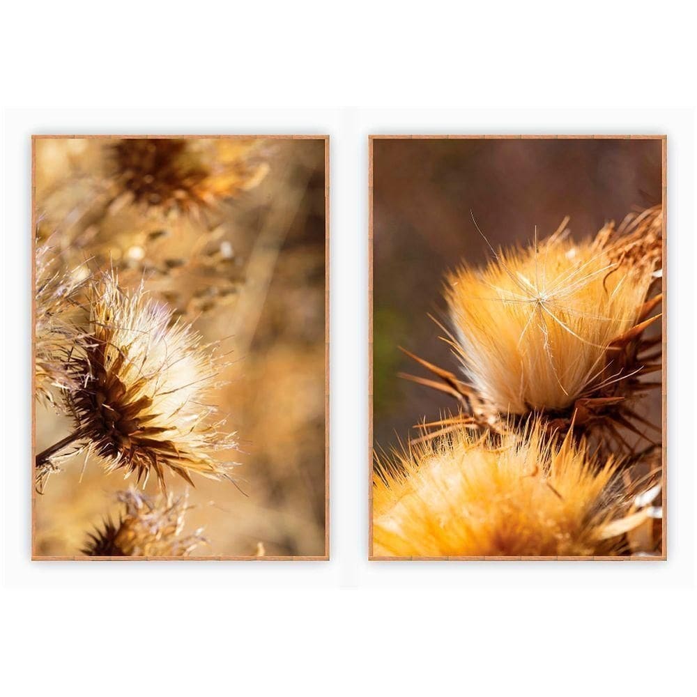 Kit Com 2 Quadros Decorativos Dente De Leão Com Moldura Para Sala Quarto Escritório 72x102 Floral