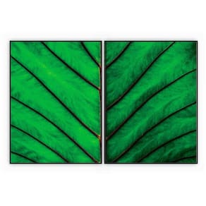 Kit Com 2 Quadros Decorativos Florais Com Moldura Para Sala Quarto Escritório 62x82 Floral 017