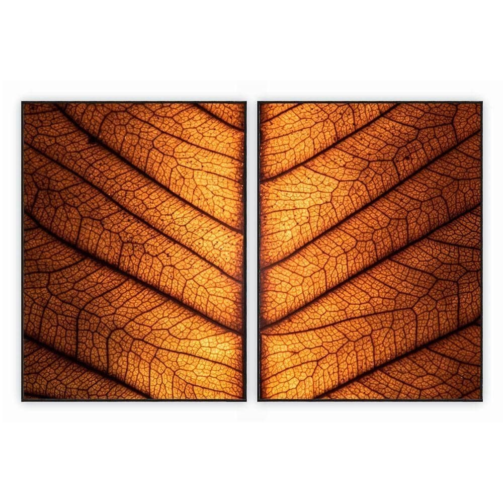 Kit Com 2 Quadros Decorativos Florais Com Moldura Para Sala Quarto Escritório 62x823 Floral 026