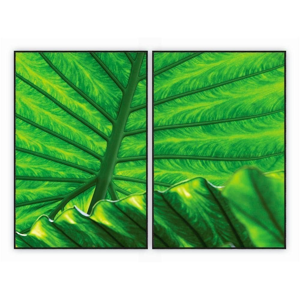 Kit Com 2 Quadros Decorativos Florais Com Moldura Para Sala Quarto Escritório 82x122 Floral 016