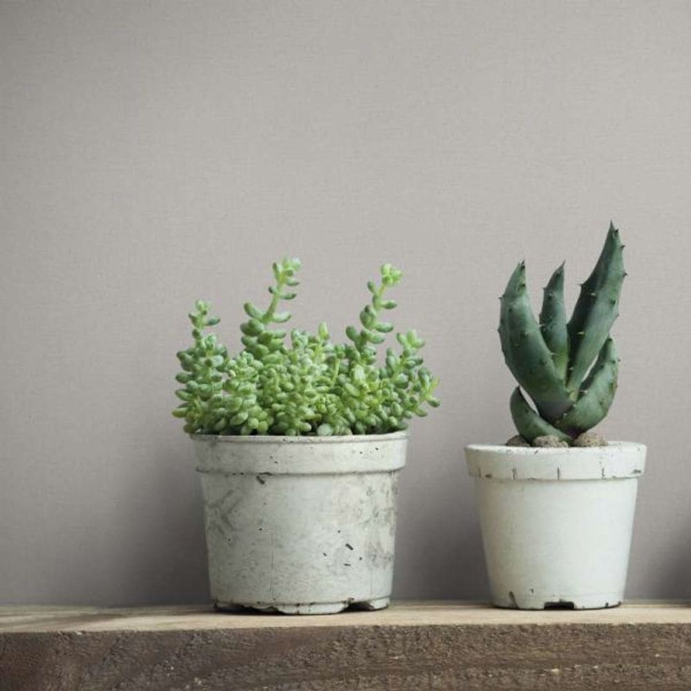 Papel de Parede Up To Date Textura Cinza 34838