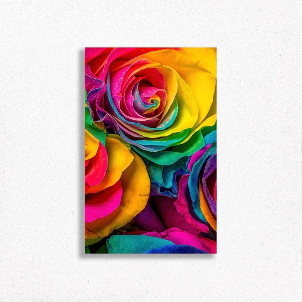 Quadro Decorativo Flores Rosas Arco-Íris Colorido Sala Arte
