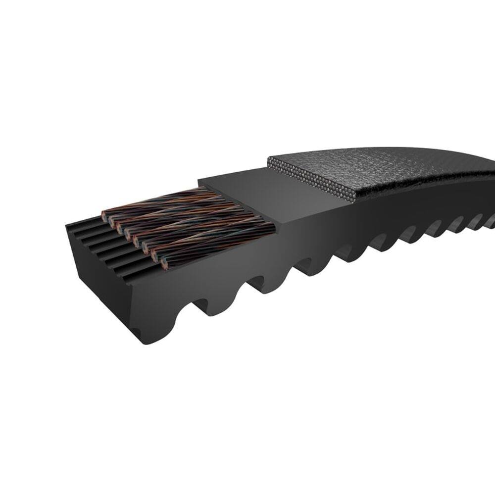 Correia de Cunha de Extremidade Dentada SKF PHG XPA2650