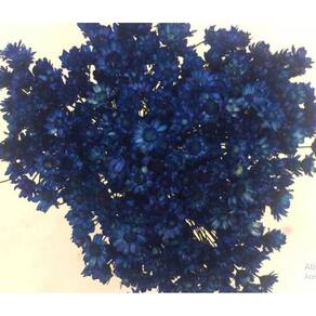 Sempre Vivas Florzinha Cor Azul Escuro