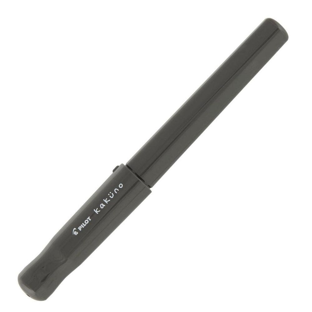 Caneta tinteiro pilot kaküno cinza