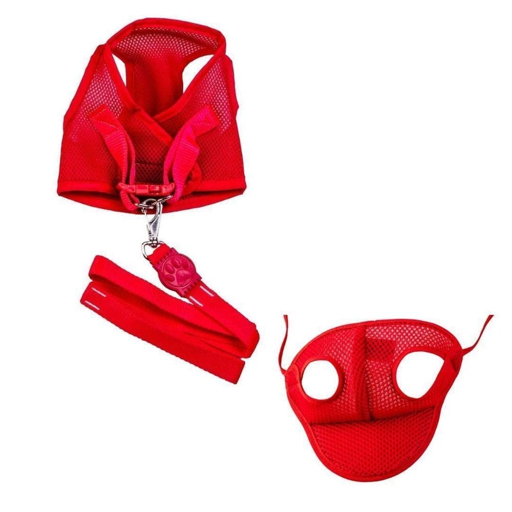 Kit boné e coleira para cães colete e boné aerado vermelho p