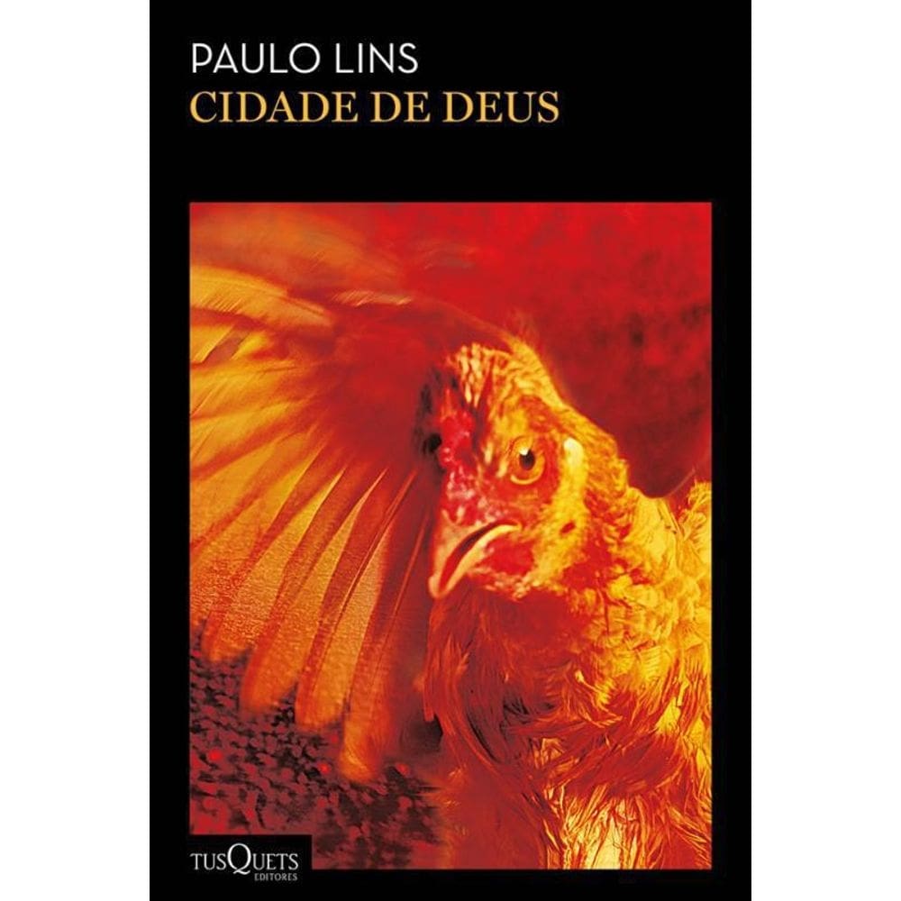 Livro cidade de deus - 02 ed
