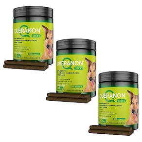 Kit 3 Suplementos Queranon Sticks Avert para Cães C/30 Unidades