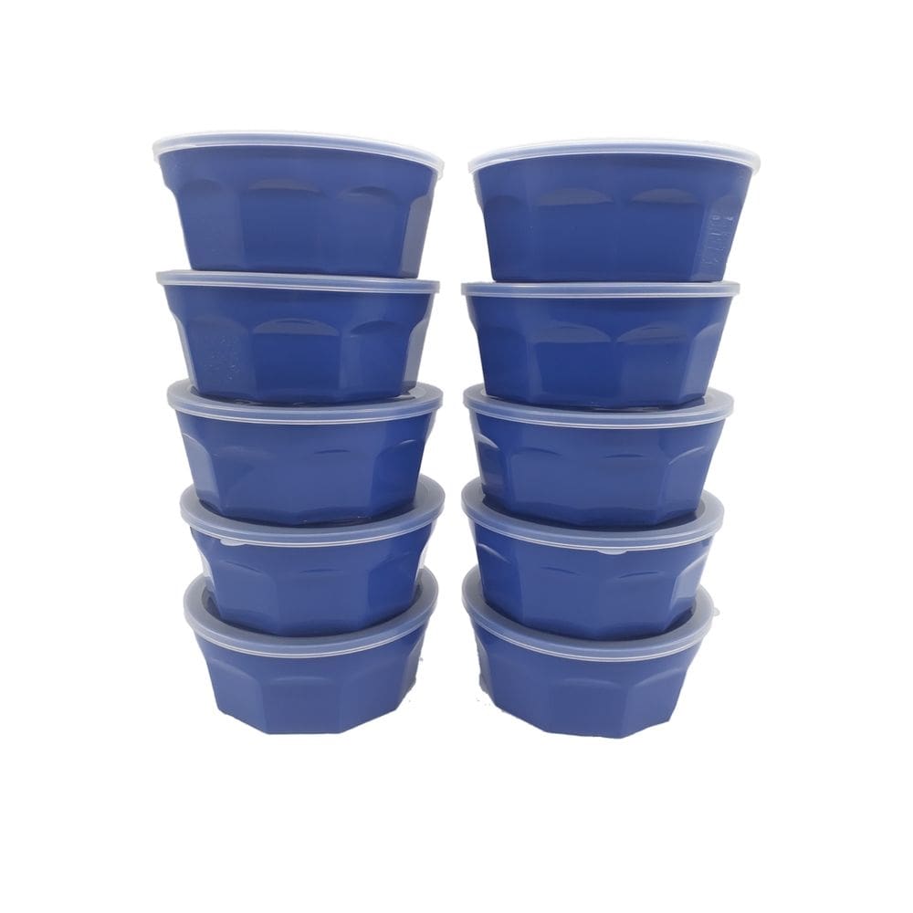 Conjunto com 10 potes para alimentos marmita fitness