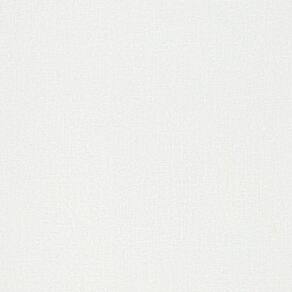 Papel de Parede New Textures Textura Branco NT34171