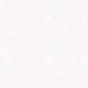 Papel de Parede New Textures Textura Branco NT32507