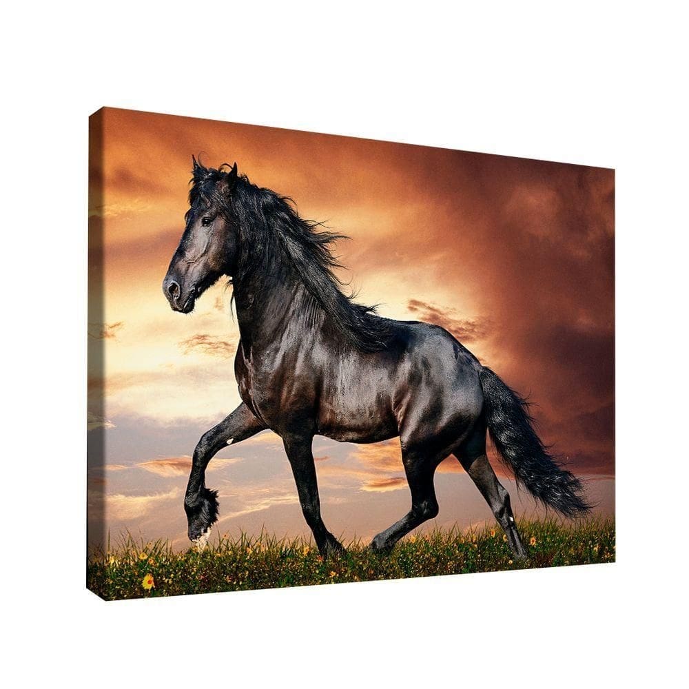 Quadro Cavalo Rei -- Br Artes