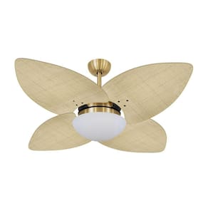 Ventilador De Teto Dormamu Dourado 4 Pás Palmae Natural 127v