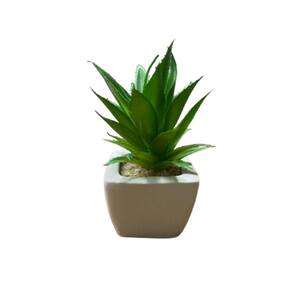 Suculentas artificiais vaso cerâmica branco -