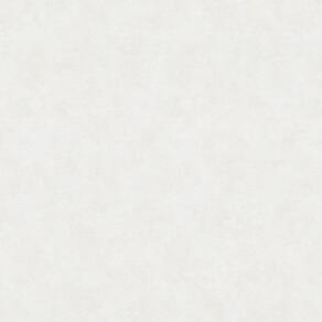 Papel de Parede New Textures Textura Branco NT32437