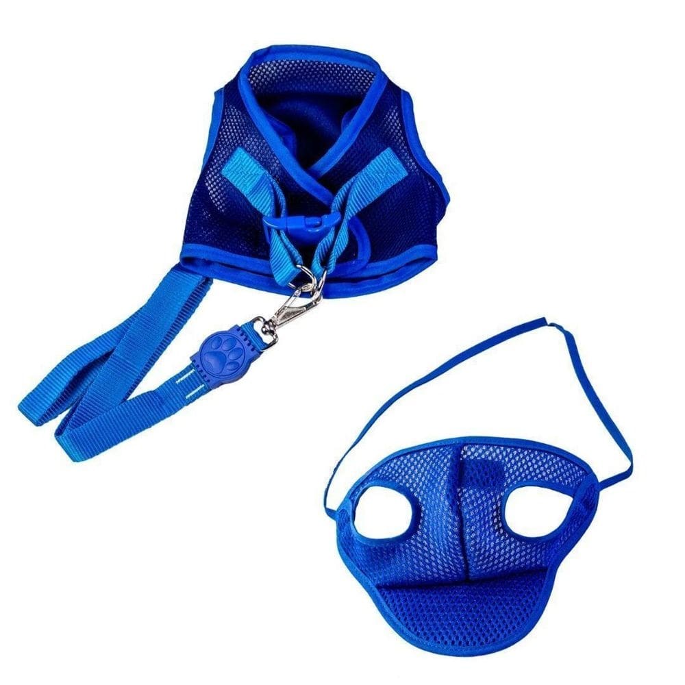 Kit boné e coleira para cães - colete e boné aerado azul p