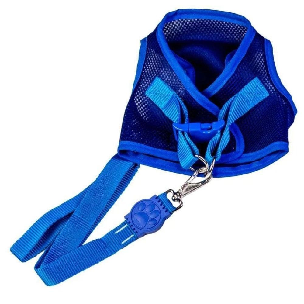 Coleira peitoral com guia aerado azul g