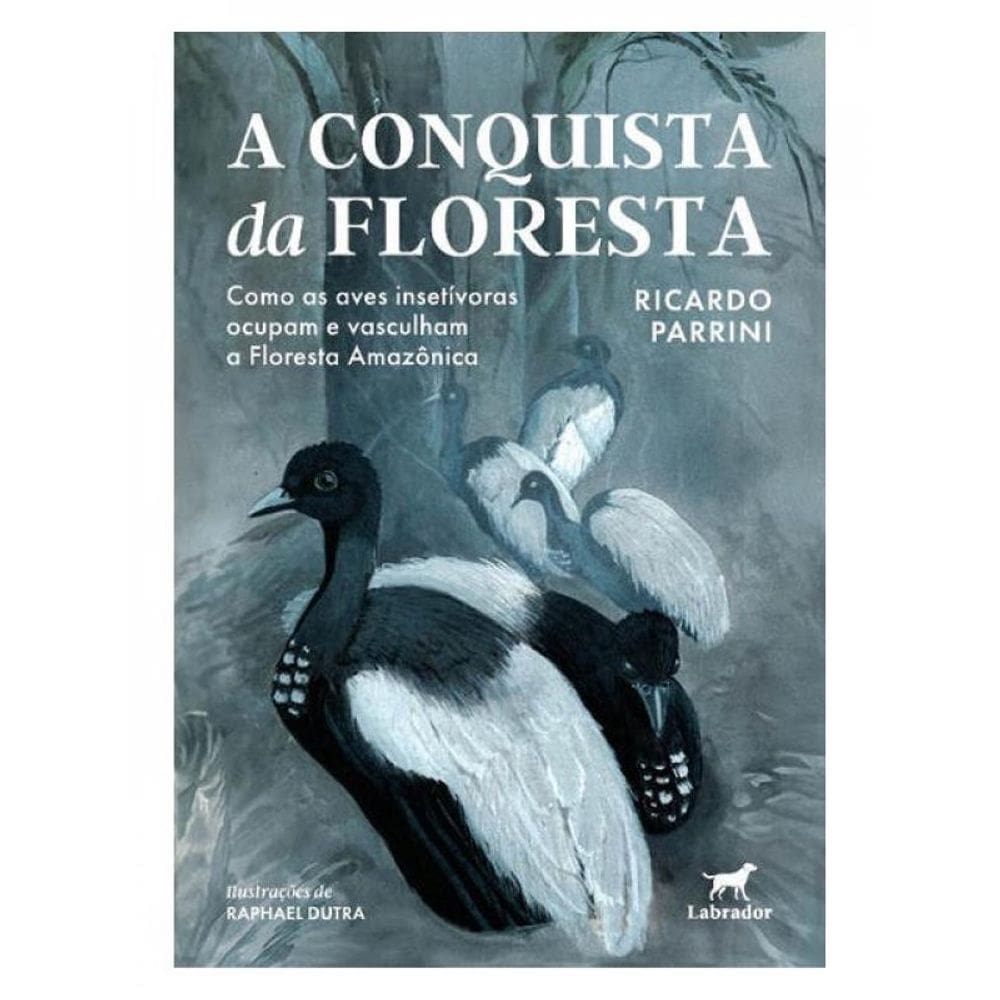 A Conquista Da Floresta