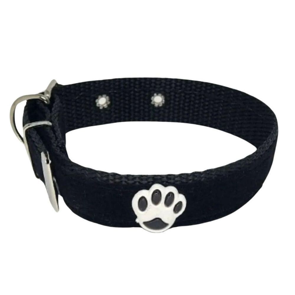 Coleira Camurça Aplique Cachorro Nicapet 25Mm Cor Preta Nº 6