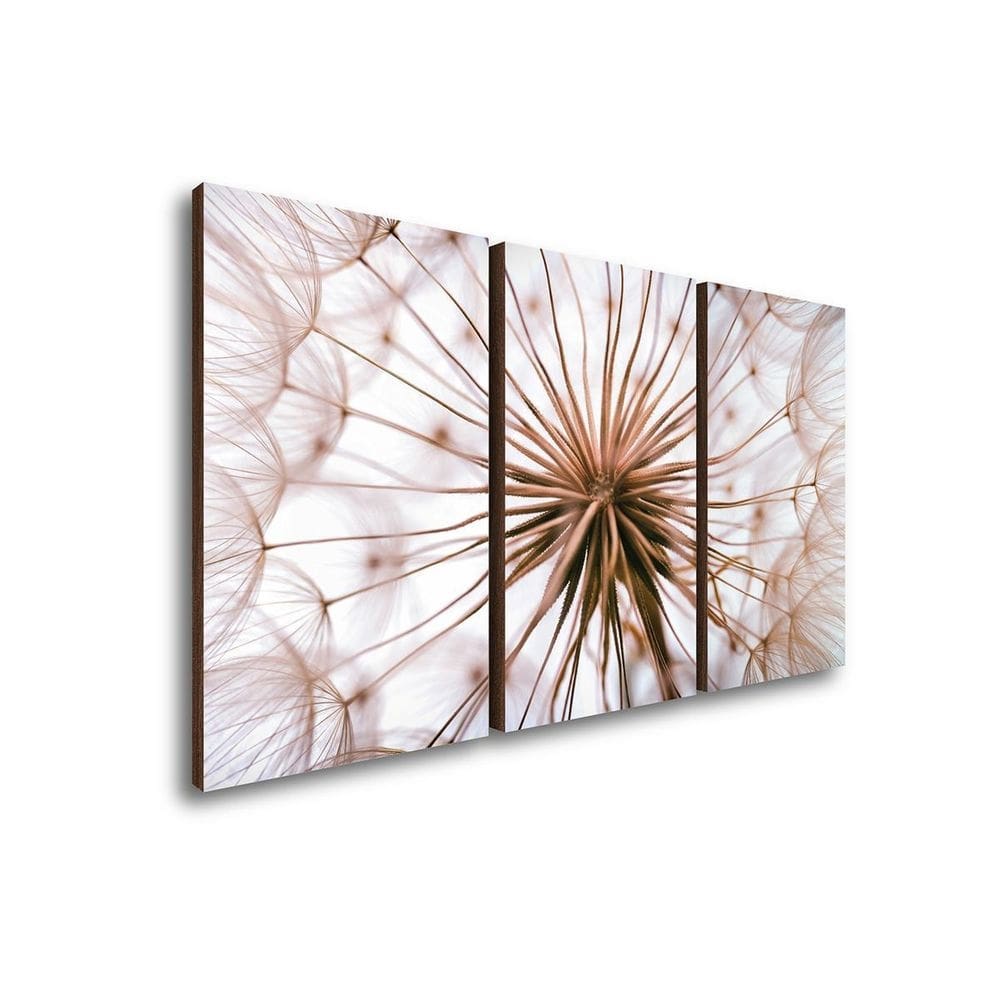 Quadros Decorativos Kit Trio Dente De Leão Rosa Sala Quarto