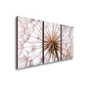 Quadros Decorativos Kit Trio Dente De Leão Rosa Sala Quarto