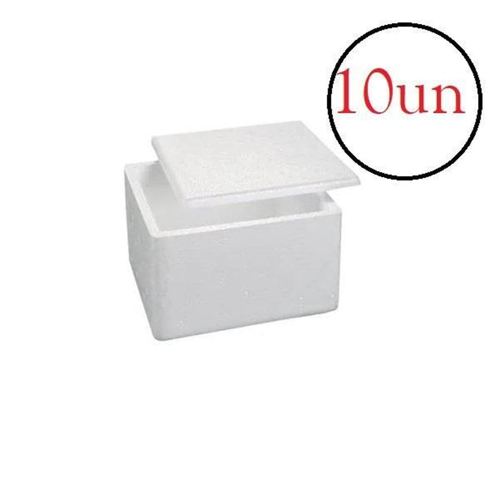 Caixa isopor térmica 1kg gelo alimento - kit 10un