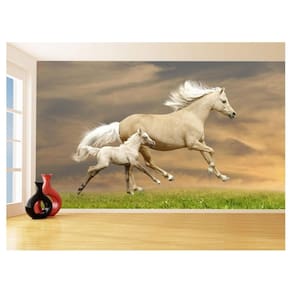 Papel De Parede 3D Animais Cavalo Filhote Potro 3,5M Anm349